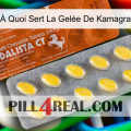 À Quoi Sert La Gelée De Kamagra 42
